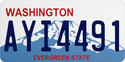 WA license plate AYI4491