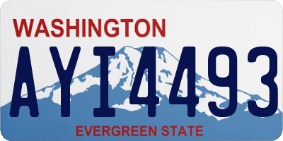 WA license plate AYI4493