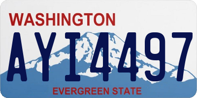 WA license plate AYI4497