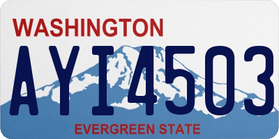 WA license plate AYI4503