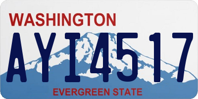 WA license plate AYI4517