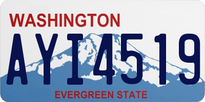 WA license plate AYI4519