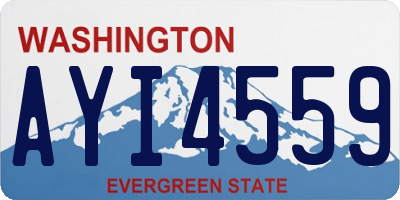 WA license plate AYI4559