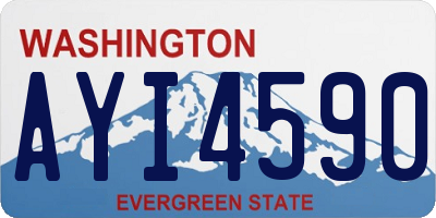 WA license plate AYI4590
