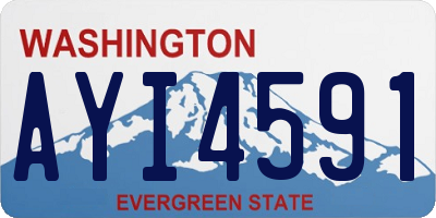 WA license plate AYI4591