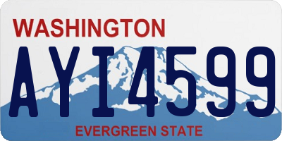 WA license plate AYI4599