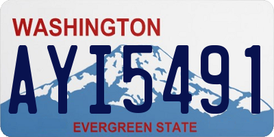 WA license plate AYI5491