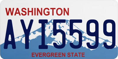 WA license plate AYI5599