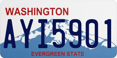 WA license plate AYI5901