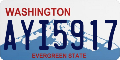 WA license plate AYI5917