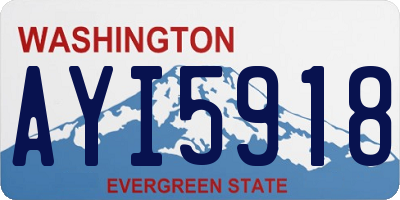 WA license plate AYI5918