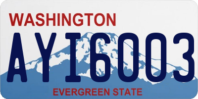 WA license plate AYI6003