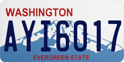 WA license plate AYI6017