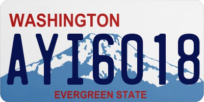 WA license plate AYI6018
