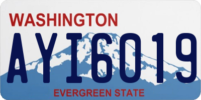 WA license plate AYI6019