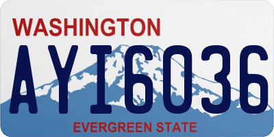 WA license plate AYI6036
