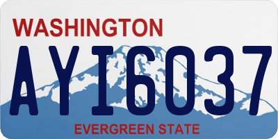 WA license plate AYI6037