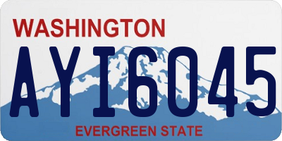WA license plate AYI6045