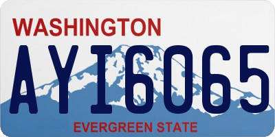 WA license plate AYI6065