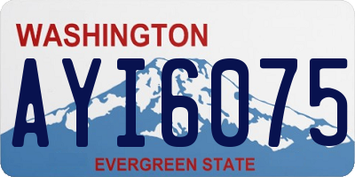 WA license plate AYI6075