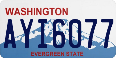 WA license plate AYI6077