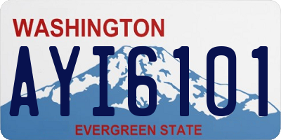 WA license plate AYI6101