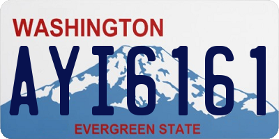 WA license plate AYI6161