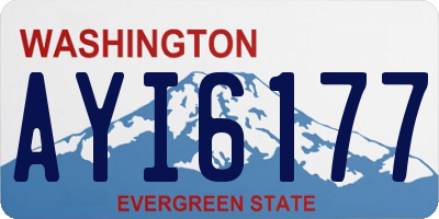 WA license plate AYI6177