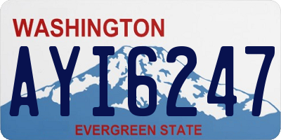 WA license plate AYI6247