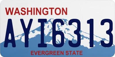 WA license plate AYI6313
