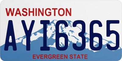WA license plate AYI6365