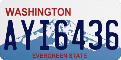 WA license plate AYI6436