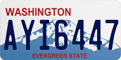 WA license plate AYI6447