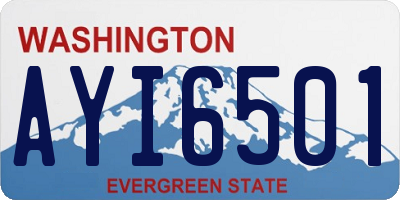WA license plate AYI6501
