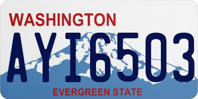 WA license plate AYI6503