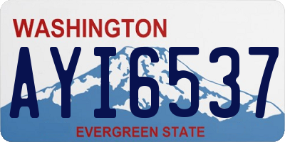 WA license plate AYI6537