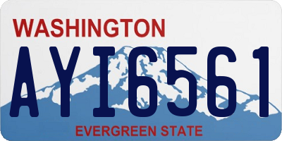 WA license plate AYI6561