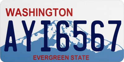 WA license plate AYI6567