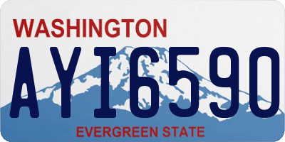 WA license plate AYI6590