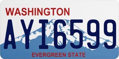 WA license plate AYI6599