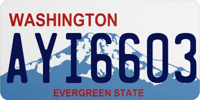 WA license plate AYI6603