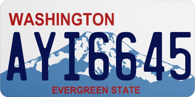WA license plate AYI6645