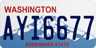 WA license plate AYI6677