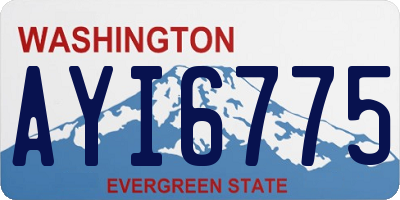 WA license plate AYI6775