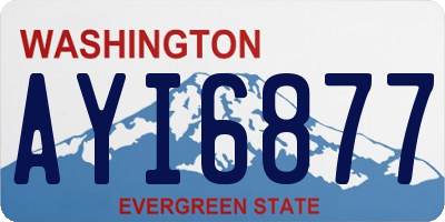 WA license plate AYI6877