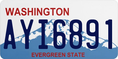 WA license plate AYI6891
