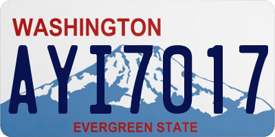 WA license plate AYI7017