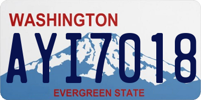 WA license plate AYI7018