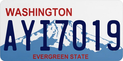 WA license plate AYI7019