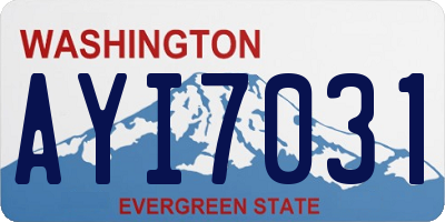 WA license plate AYI7031